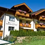 Apartment Salzburgerhof Flachau